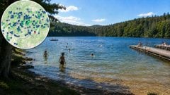 MAPA: Hygienici varujú Slovákov pred kúpaním v 6 jazerách. Nebezpečné baktérie spôsobujú vyrážky či hnačky