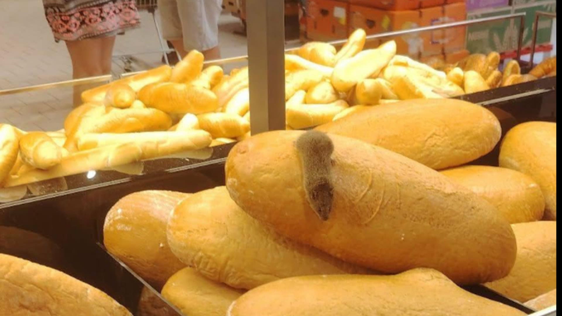 myšelf kaufland