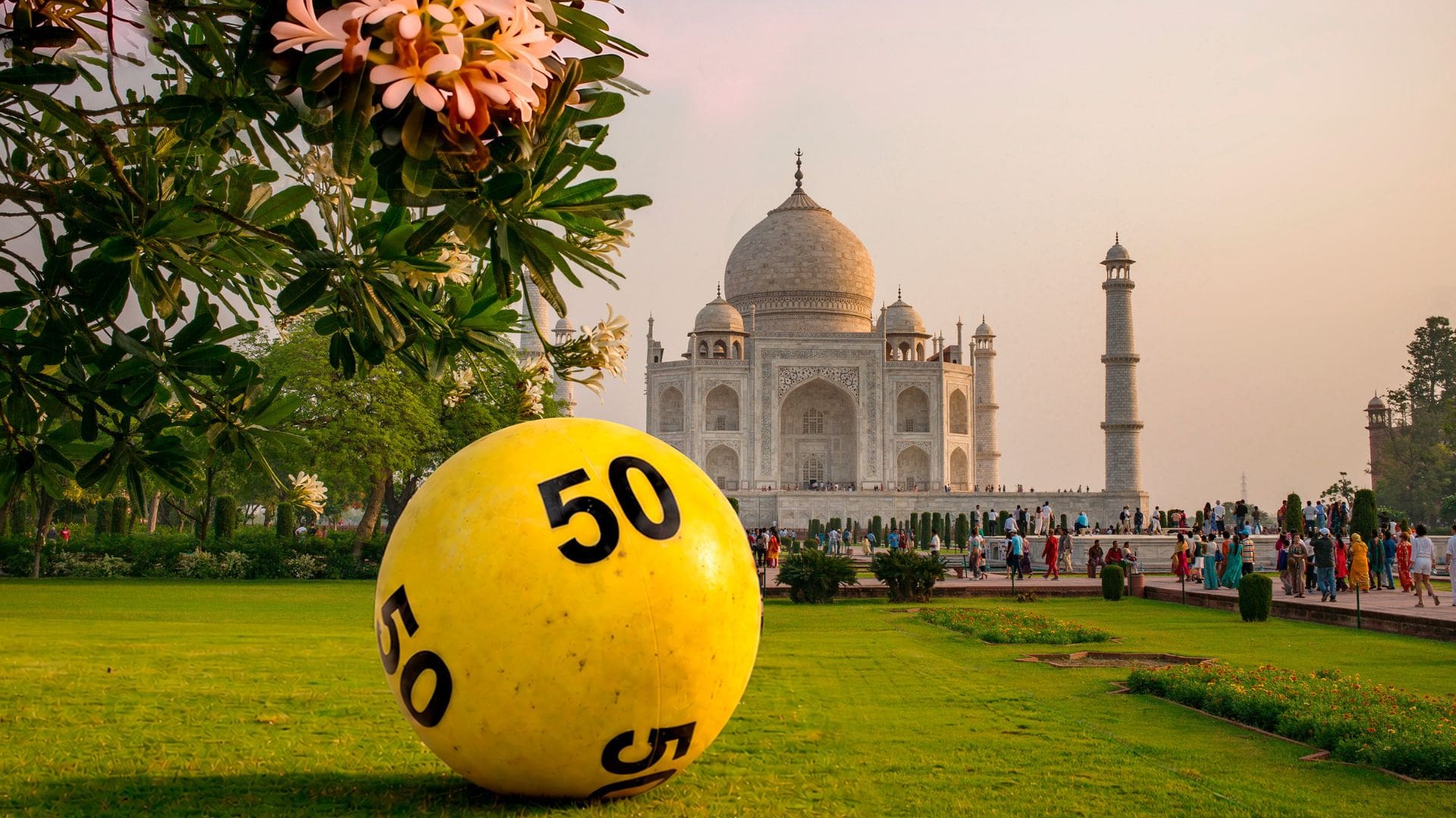 50
