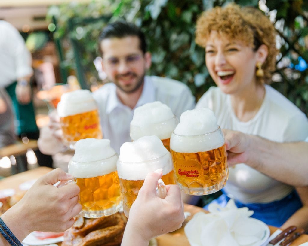 Budvar Schw 4