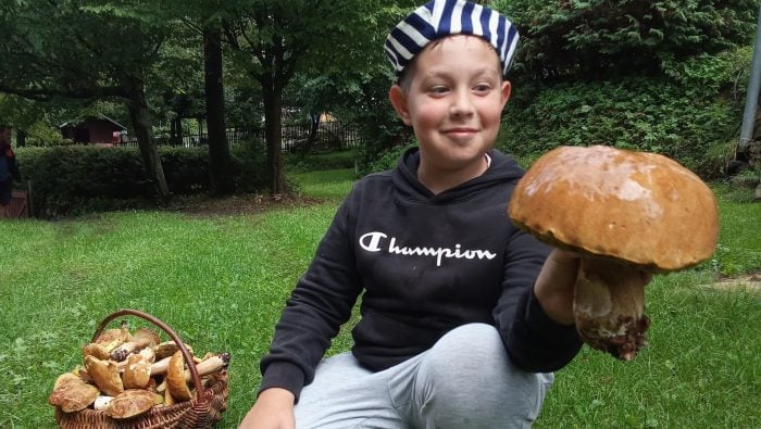 Hubári majú konečne dôvod na radosť. Plný košík si prinesieš z týchto lokalít