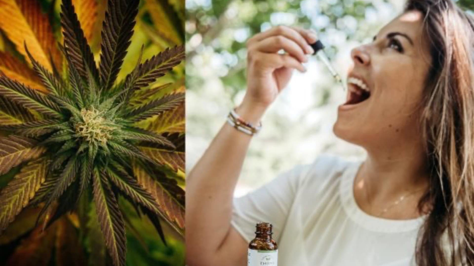 cbd