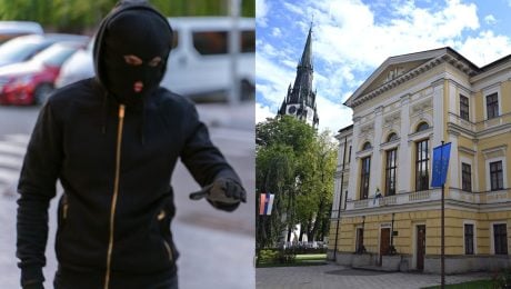 Mesto vysadilo atraktívne kvety, Slováci ich začali kradnúť. Radnica poslala varovný odkaz