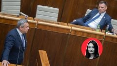 Taraba padol aj rukou Andreja Danka. Čo teraz čaká Ficovu vládu? V hre sú tri scenáre (KOMENTÁR)