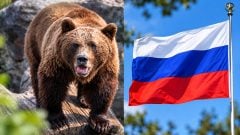 Rusko zasiahla vlna útokov medveďov. Na Slovensku hlásia výskyt šelmy aj pri obývaných oblastiach