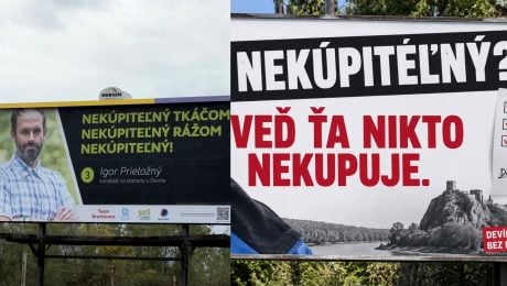 Devín, Politika
