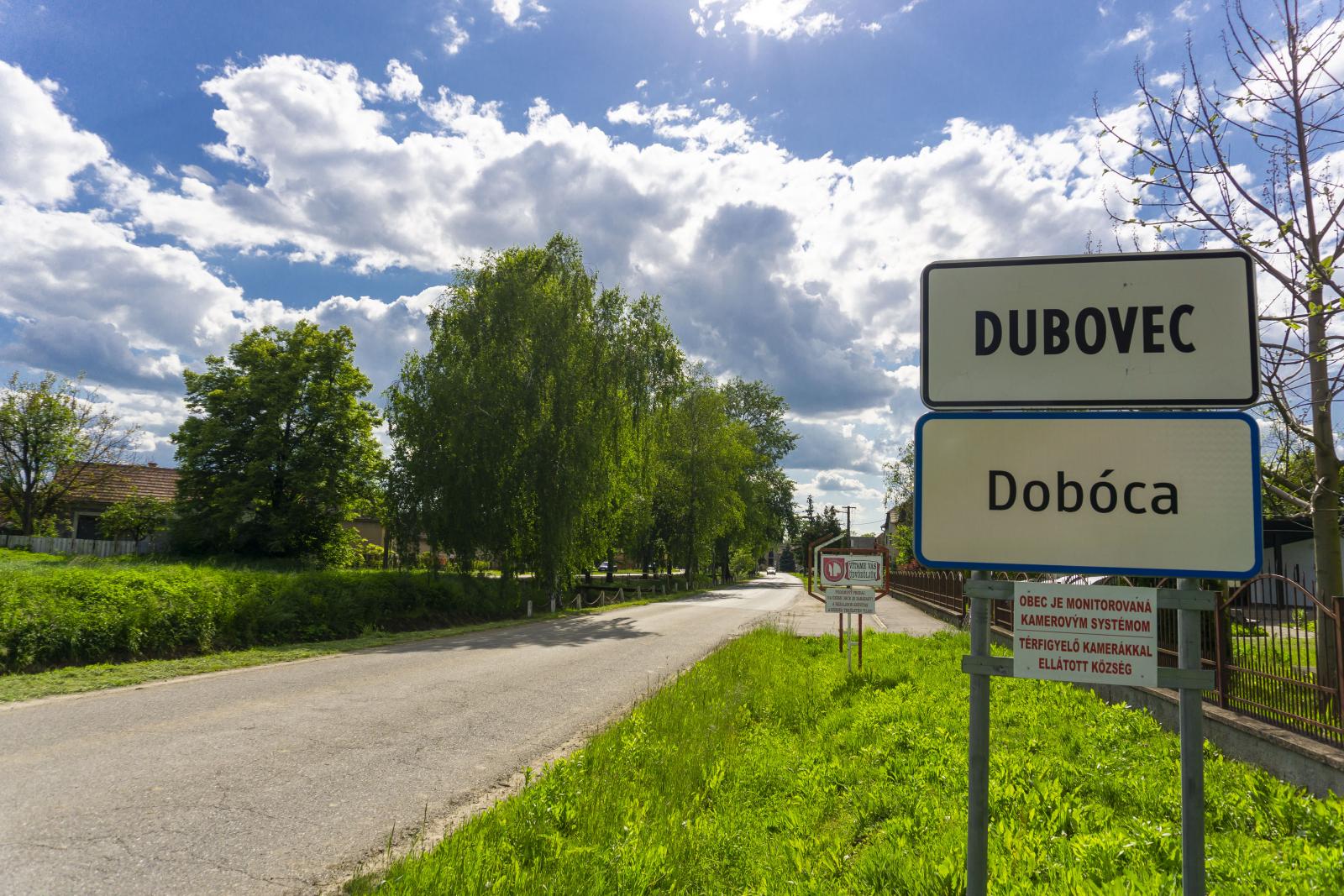 dubovec