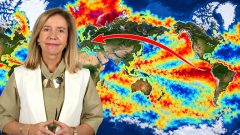 El Niño dosiahol odchýlku až +3,9 °C. Cez polárny vír môže zasiahnuť aj slovenskú zimu