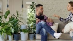 Väčšina Slovákov ich má doma: Týchto 6 známych izbových rastlín spôsobuje hádky a smolu, ničí vzťahy