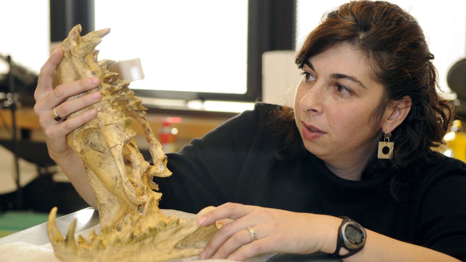 „Pekelné kura“ bez zubov: Vedci našli nový druh dinosaura s prekvapivým jedálničkom