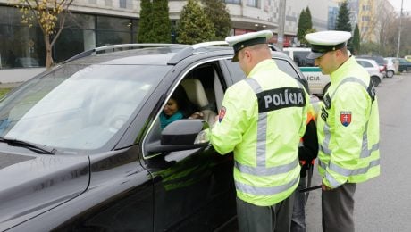polícia, kontrola